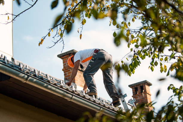Best Roof Moss and Algae Removal  in Pandora, OH