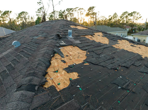 Best Roof Waterproofing  in Pandora, OH